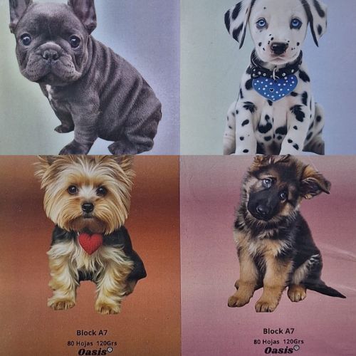  BLOCK A7 OASIS 120 GRAMOS EMBLOCADO 80;
HOJAS TAPA CACHORROS PACK X24