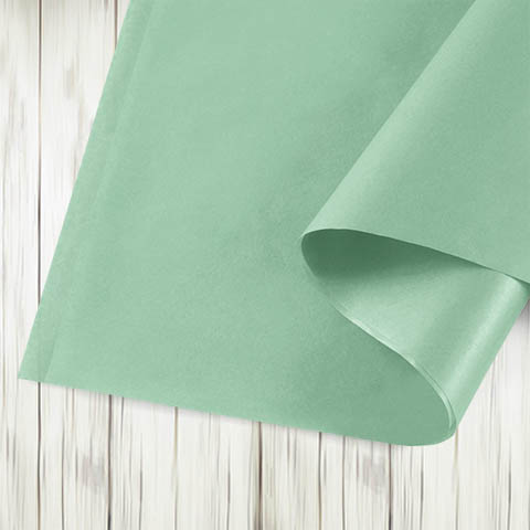  PAPEL SEDA CARPEL 50X70 X50H PASTEL  VERDE