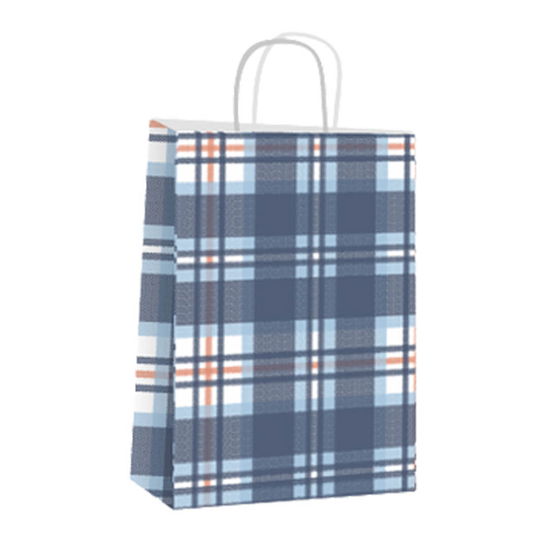  BOLSA PAPEL FANTASIA BRANDPACK 30X12X41 X25 ESCOSES