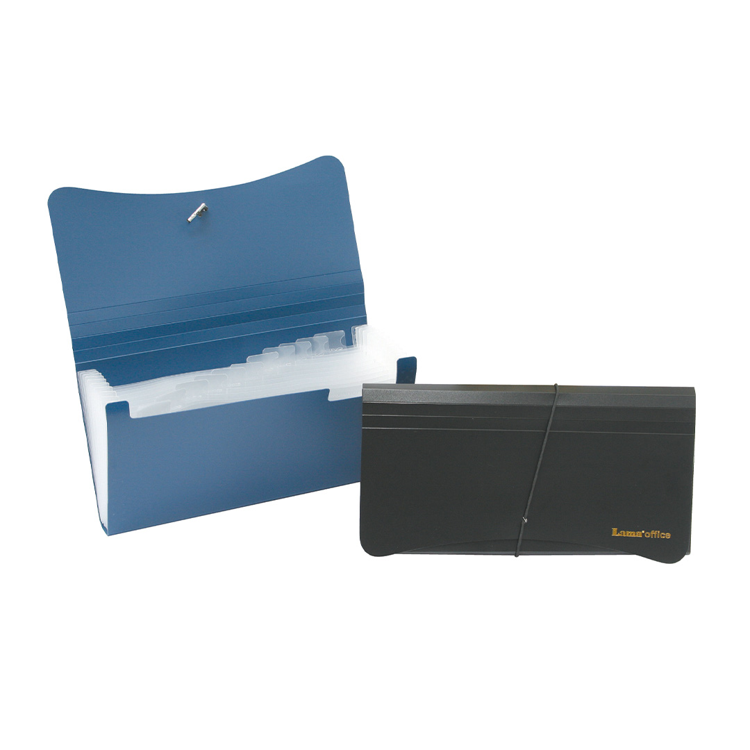  CLASIFICADOR LAMA CHEQUE 12 DIVISIONES;
AZUL NEGRO