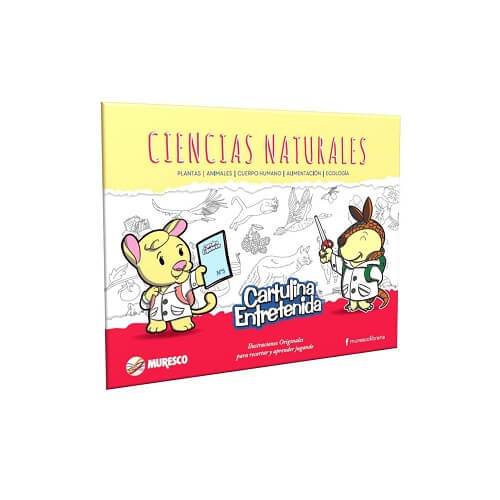 Producto 