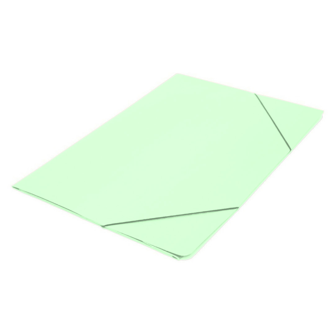  CARPETA 3 SOLAPAS OFICIO AVIOS CON  ELASTICO VERDE PASTEL