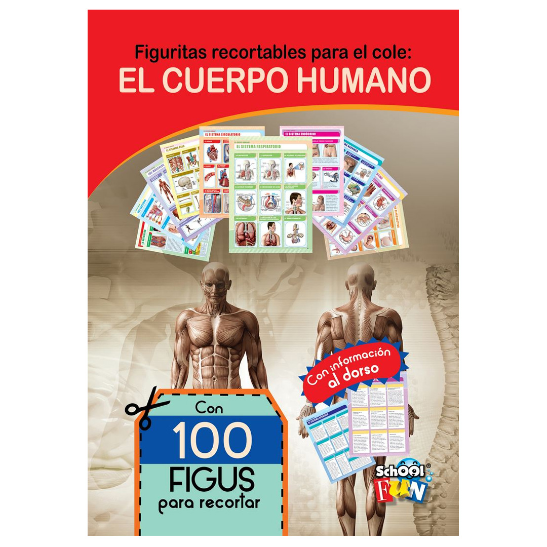  ALBUM FIGURITA PLOW EL CUERPO HUMANO