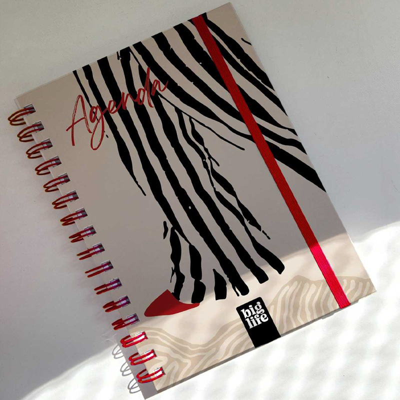  AGENDA BIG LIFE 16X22 DIA X PAGINA  STRIPES