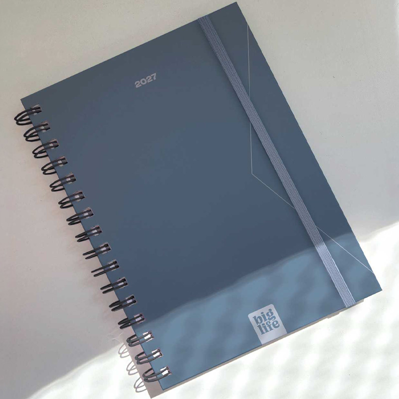  AGENDA BIG LIFE 10X15 DIA X PAGINA  MINIMAL