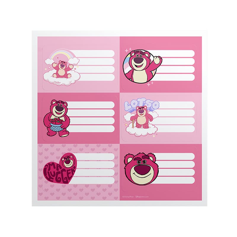  ETIQUETA MOOVING X12 LOTSO