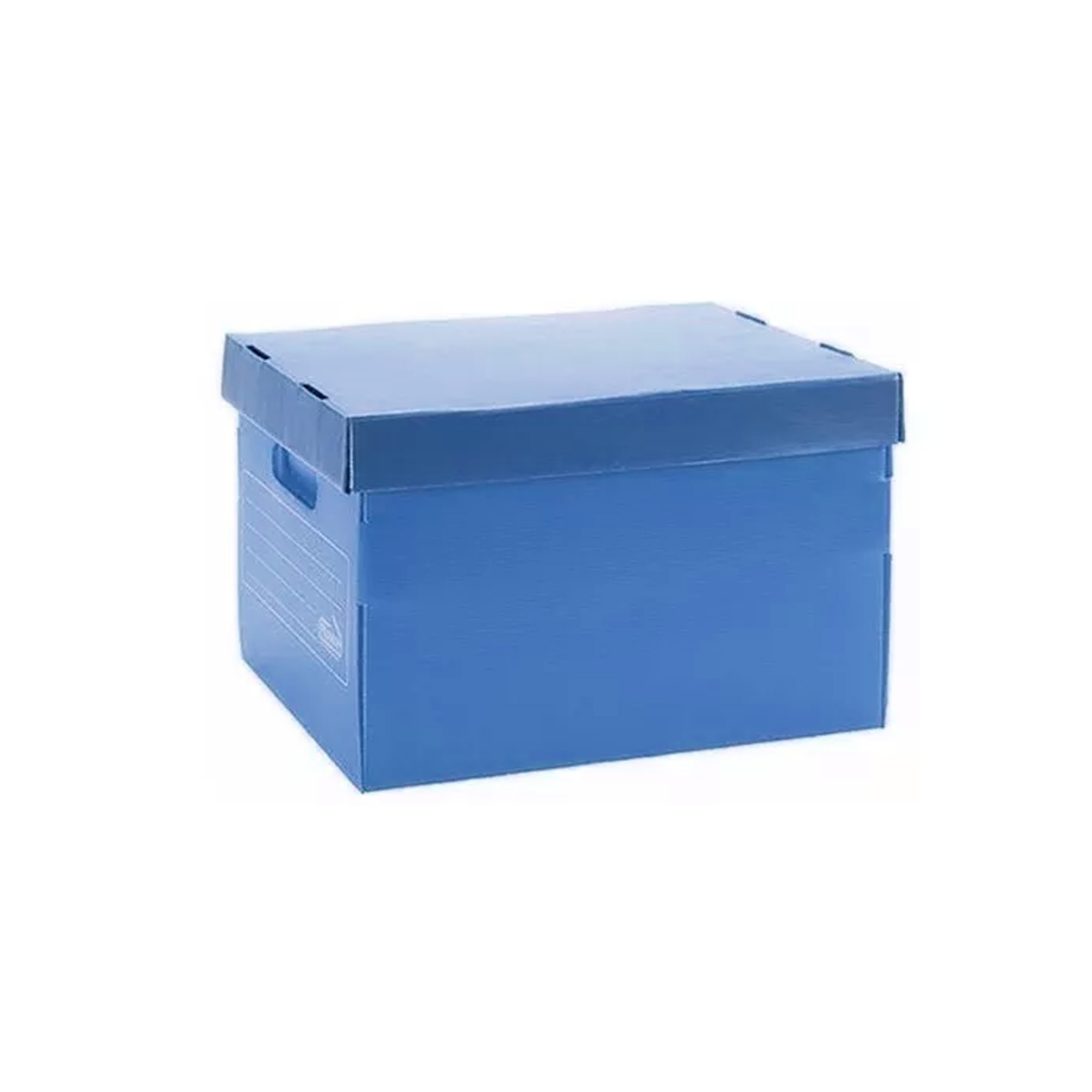  CAJA ARCHIVO PLANA PLASTICA CON TAPA 804  AZUL X10