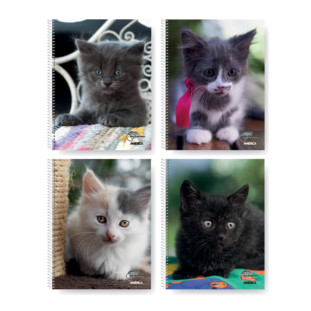  CUADERNO AMERICA 29/7 GATITOS TAPA  FLEXIBLE ESPIRAL 80H RAYADO