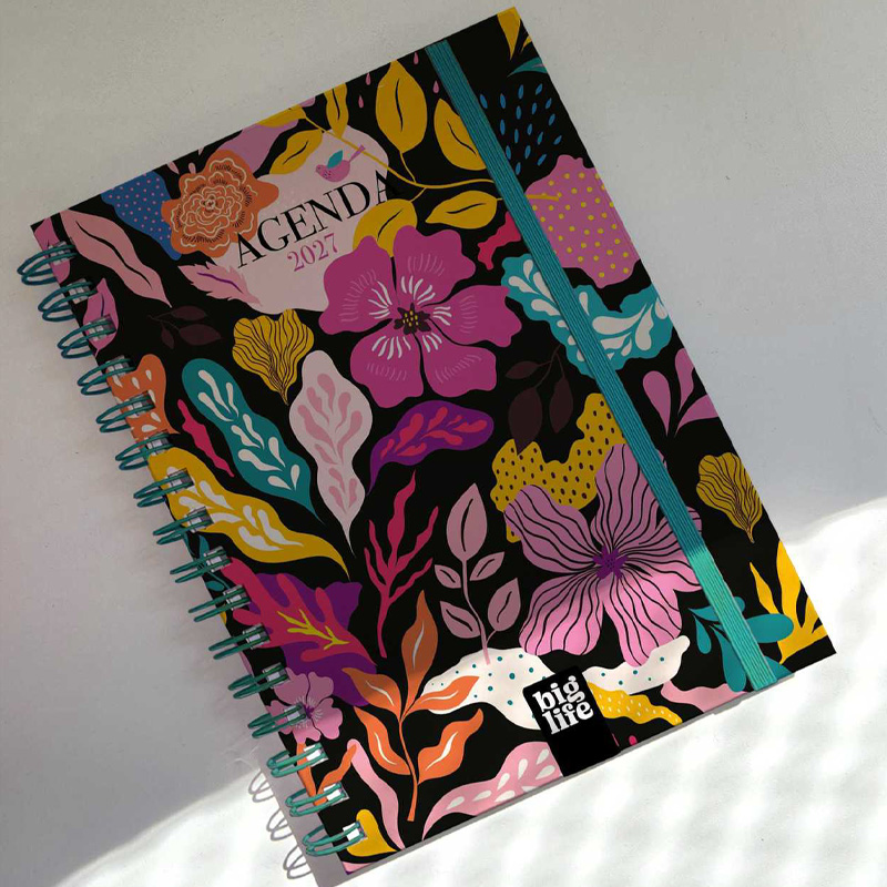  AGENDA BIG LIFE 10X15 DIA X PAGINA BIG;
MEMORIES