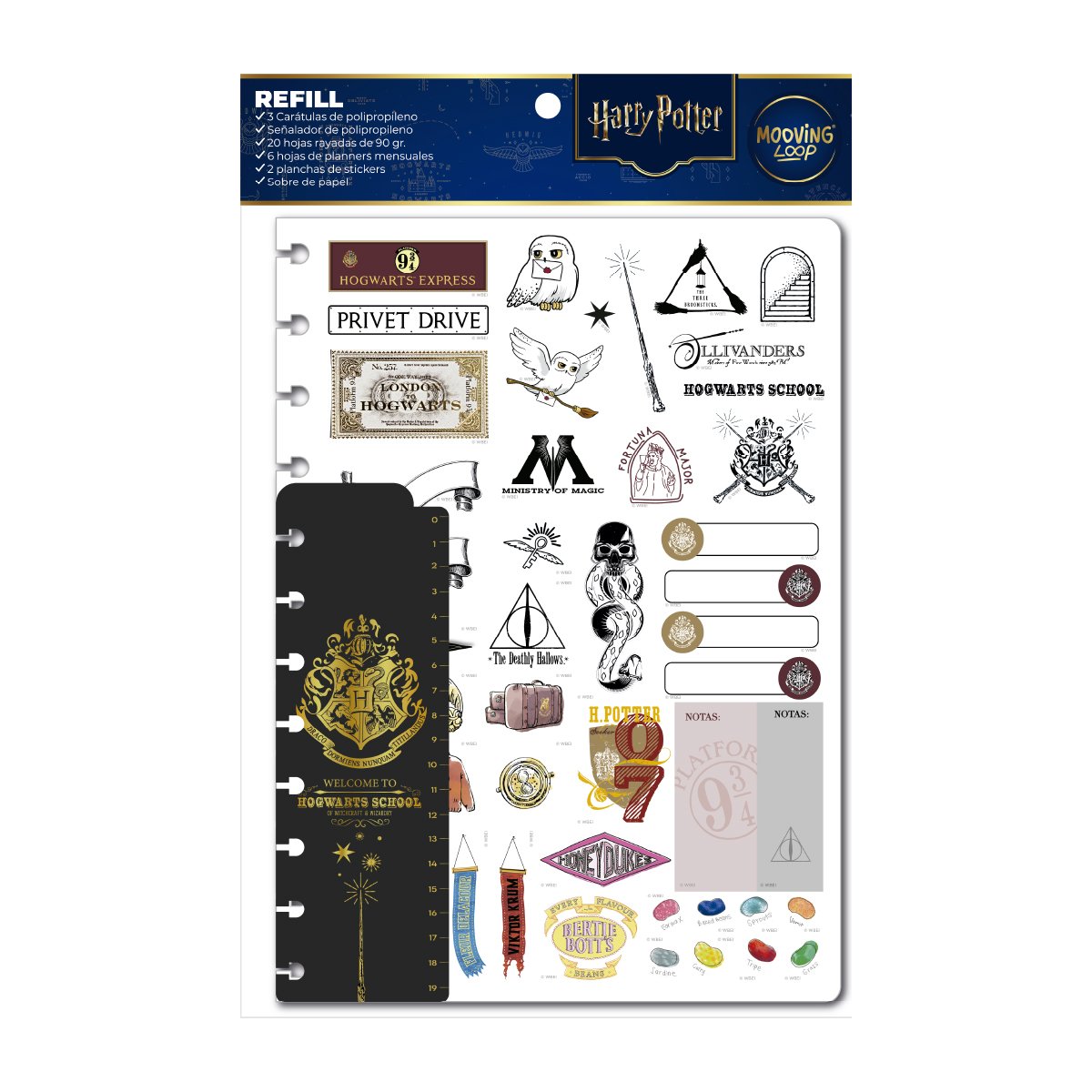  REPUESTO CUADERNO MOOVING LOOP CARTA  HARRY POTTER X20
