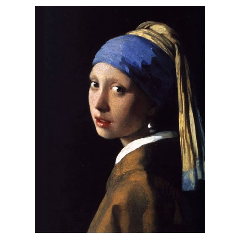  DIAMOND PAINTING 20X30 CUADROS FAMOSOS;
LA JOVEN DE LA PERLA GC85929