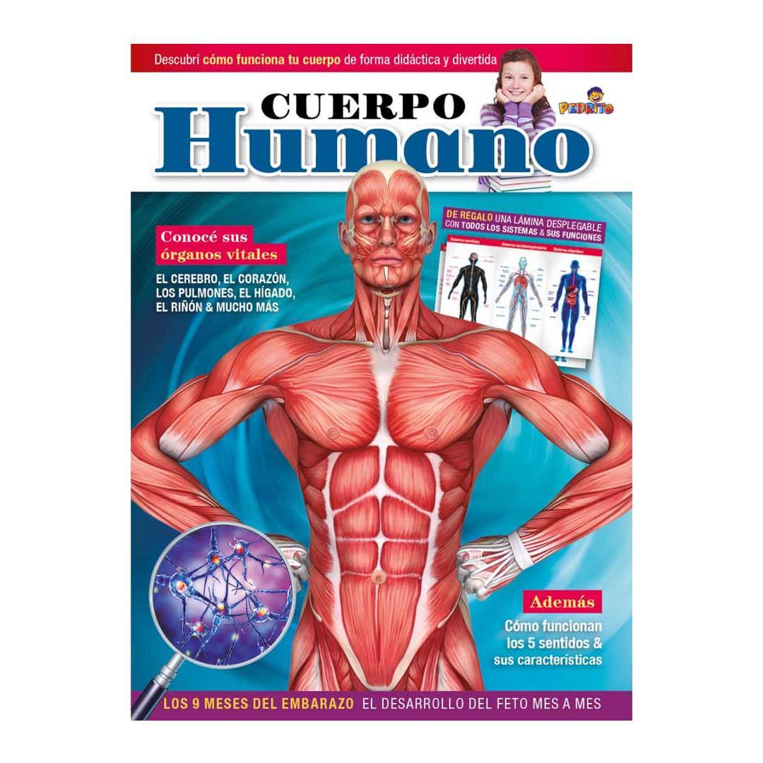  LIBRO PEDRITO CUERPO HUMANO