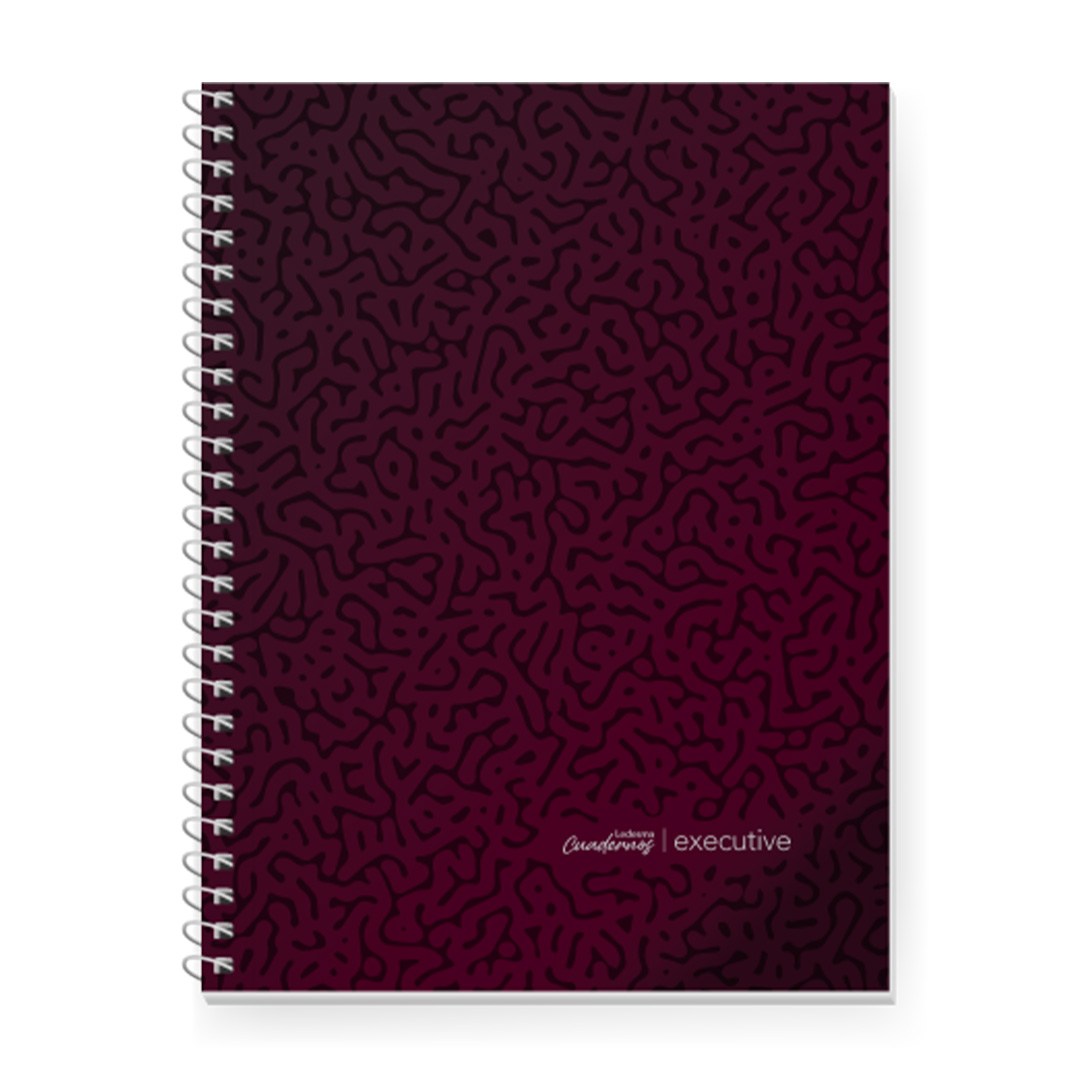  CUADERNO LEDESMA EXECUTIVE 22X29 TAPA PP  ESPIRAL BORDO 84H CUADRICULADO