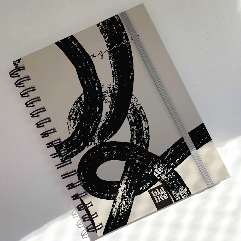  AGENDA BIG LIFE 16X22 DIA X PAGINA  EXPRESSIVE