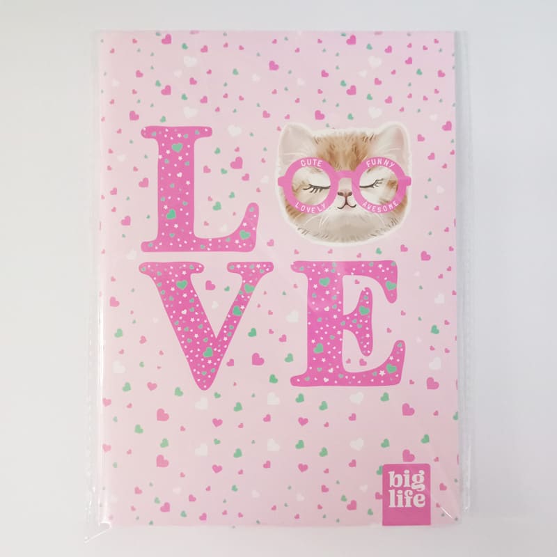  CUADERNO PPR 16X21 TAPA FLEXIBLEABROCHADO GATITO 3