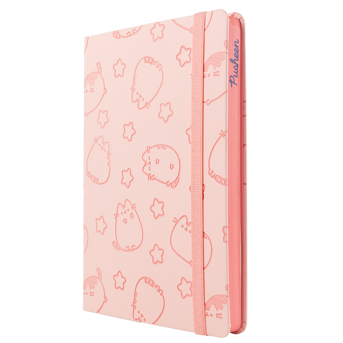  CUADERNO MOOVING A5 TAPA DURA PU PUSHEEN  96H RAYADO