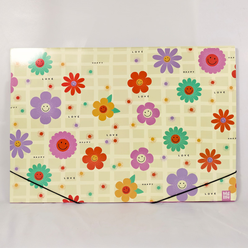  CARPETA 3 SOLAPAS OFICIO PPR GROOVY