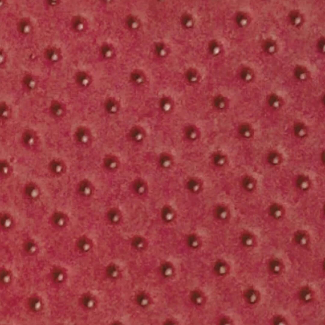  GOMA EVA CALADA ASB PUNTOS 40X60 X10  ROJO