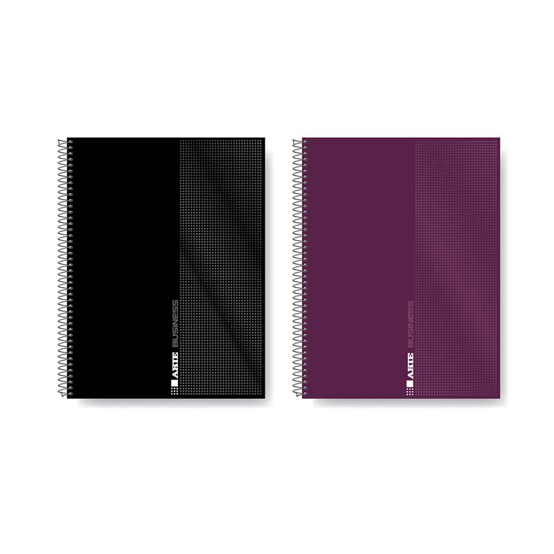  CUADERNO ARTE 29.7 BUSINESS TAPA  POLIPROPILENO 120 HOJAS RAYADO