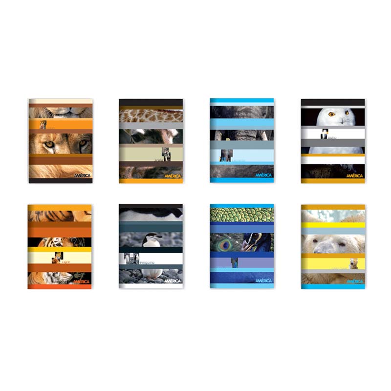  CUADERNO AMERICA 16X21 TAPA FLEXIBLE 24 HOJAS RAYADO