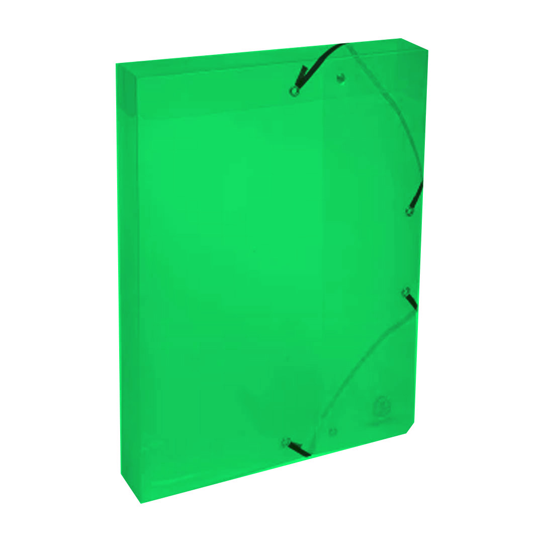  CAJA CON ELASTICO OFICIO PAGODA  POLIPROPILENO LOMO 4 VERDE