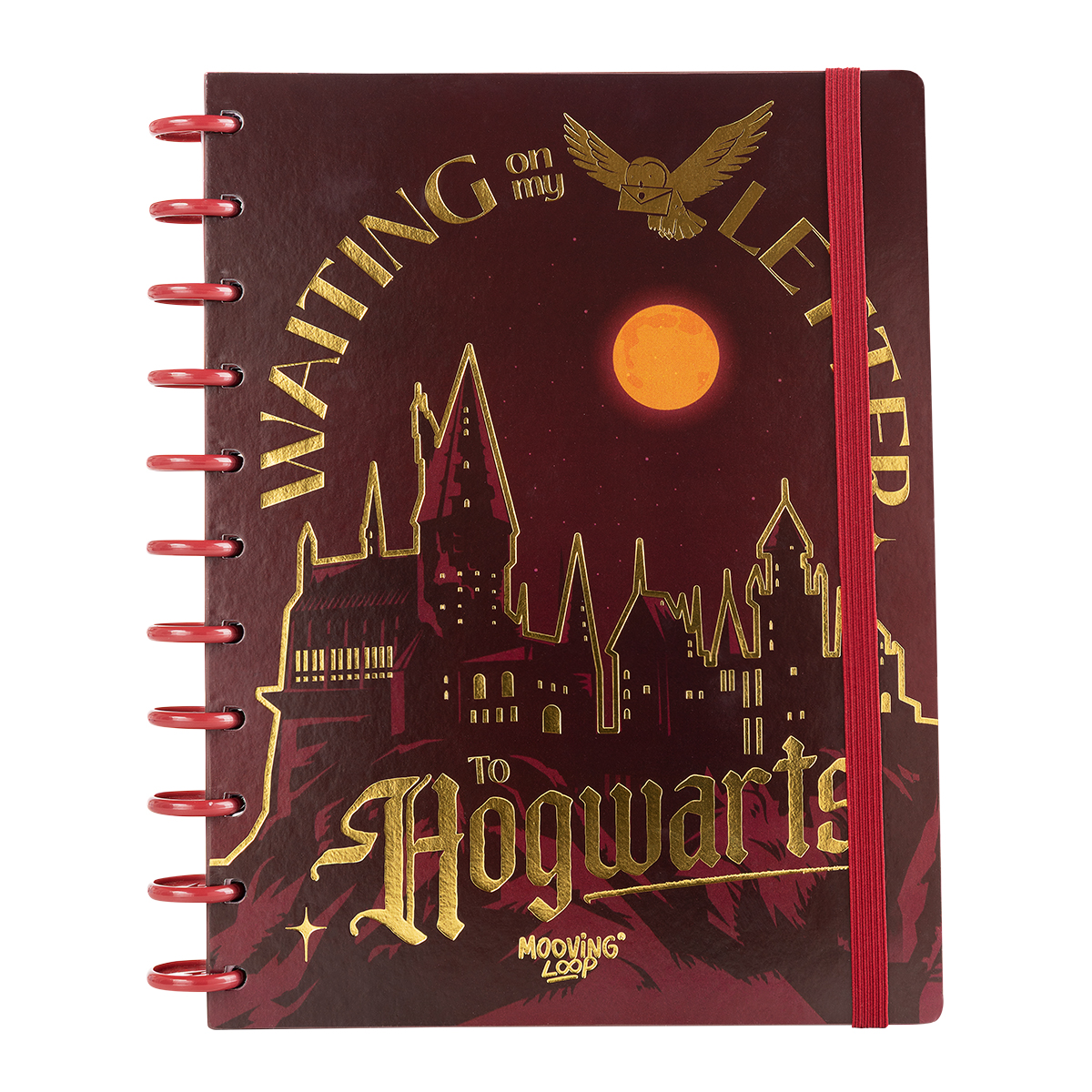 CUADERNO MOOVING LOOP CARTA A DISCOS  HARRY POTTER