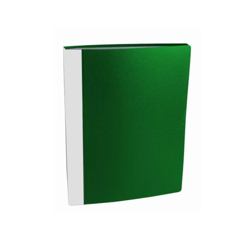  CARPETA CON FOLIO 20 LAMA A4 VERDE
