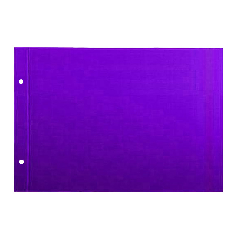  CARPETA ESCOLAR TAPA N5 AVIOS PVC  VIOLETA